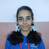 School-Parliament